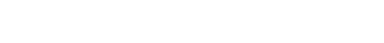 CMMI Institute Partner